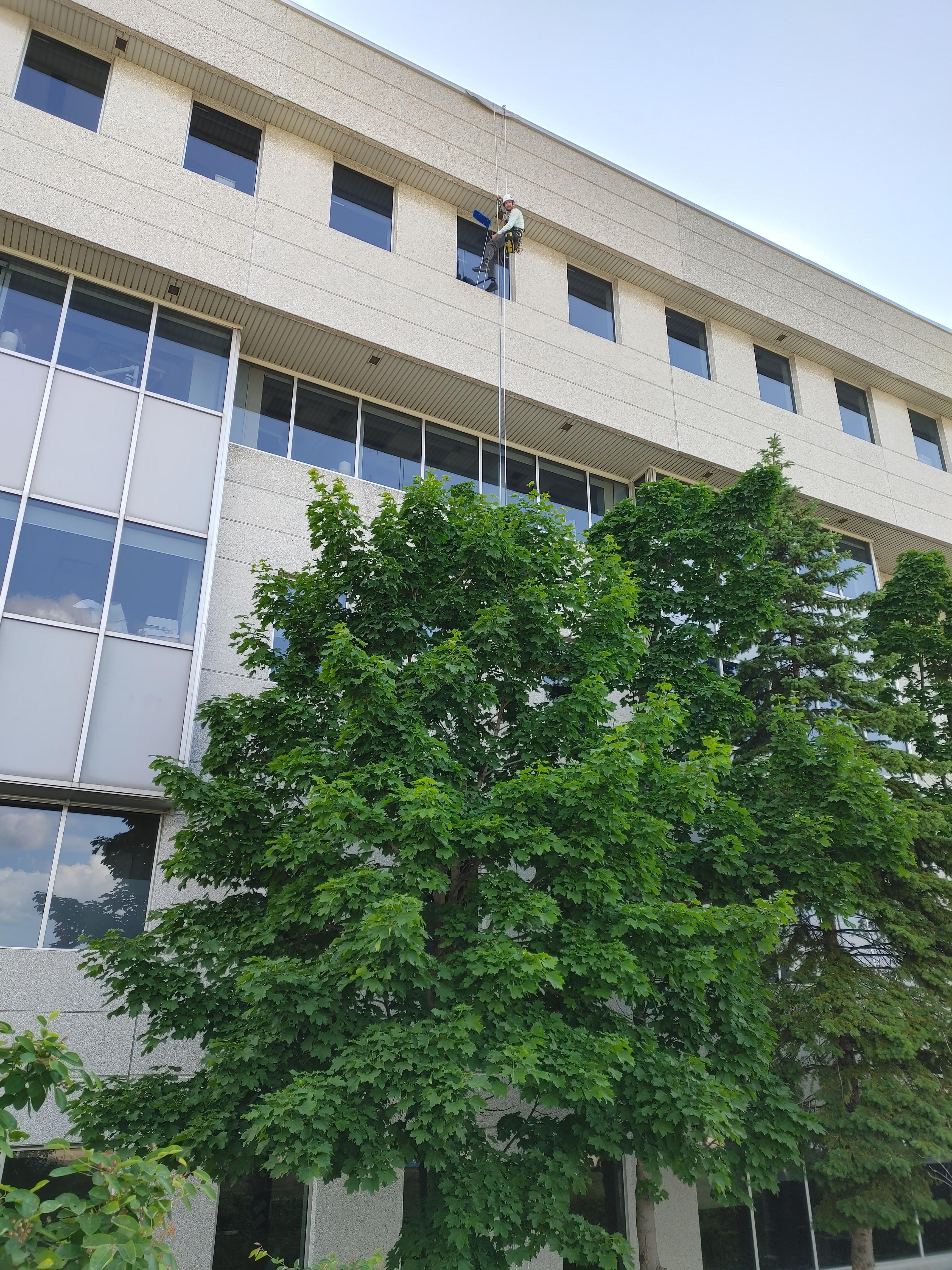 Services d'accès par corde